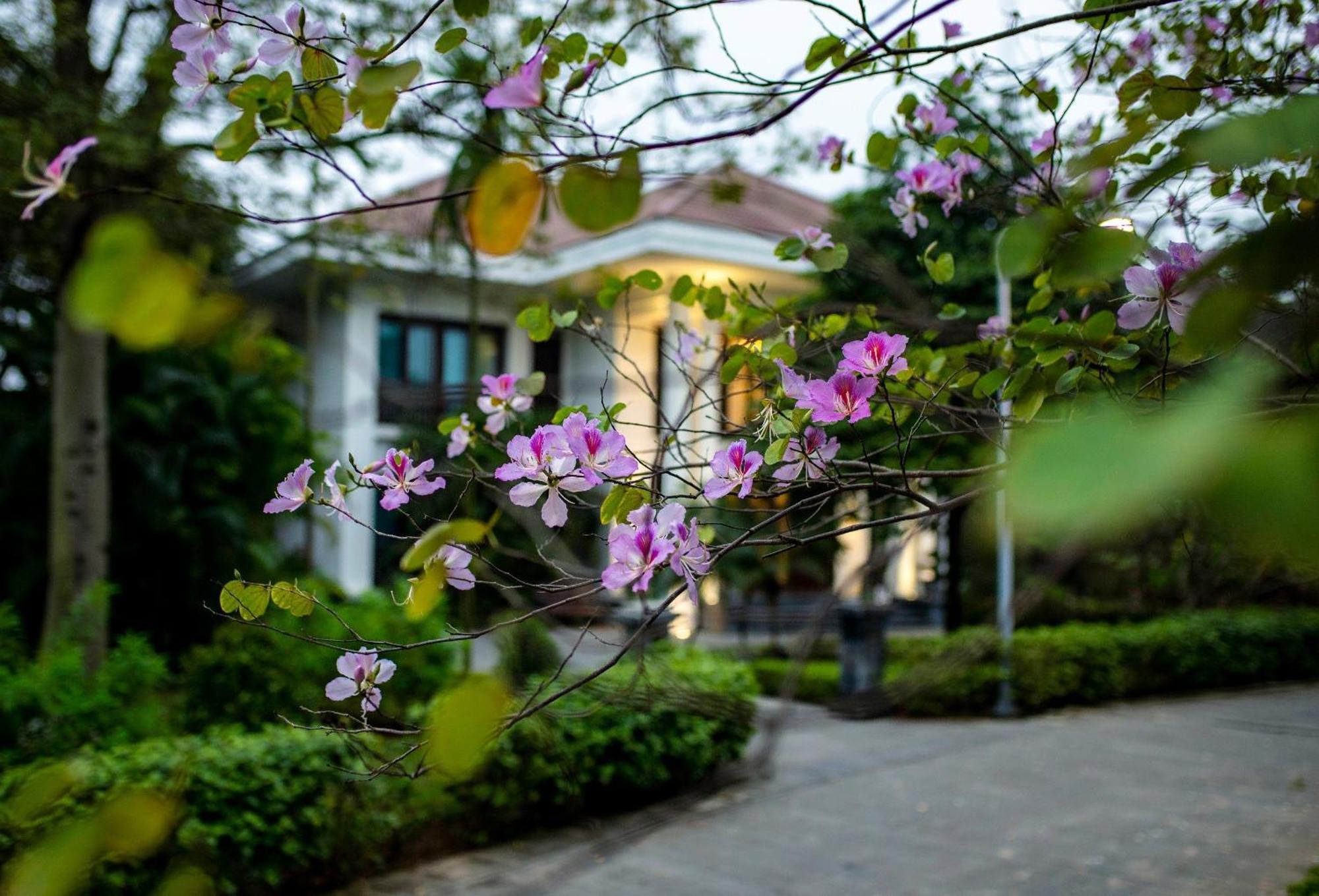 Ncc Garden Villas - Ncc Hotel Hanoi Bagian luar foto